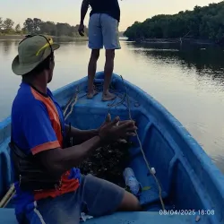 Auba Coastal Mangrove Reserve - Auba