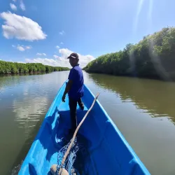 Auba Coastal Mangrove Reserve - Auba