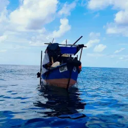 Auba Coastal Mangrove Reserve - Auba