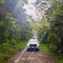 Auba Coastal Mangrove Reserve - Auba