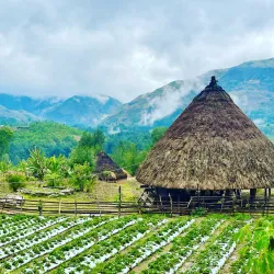 Auba Waterfall - Auba
