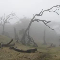 Mount Ramelau (Tatamailau) - Dili