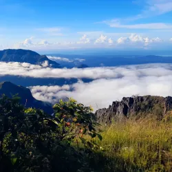 Mount Ramelau (Tatamailau) - Dili