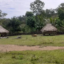 Becora Waterfall - Ermera