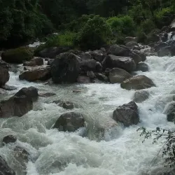 Ermera Coffee Plantations - Ermera