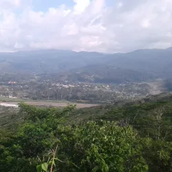 Ermera Coffee Plantations - Ermera