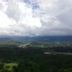 Ermera Coffee Plantations - Ermera