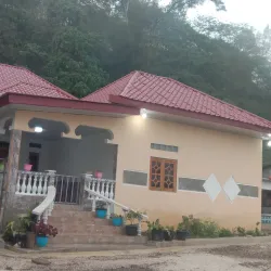 Ermera Coffee Plantations - Ermera