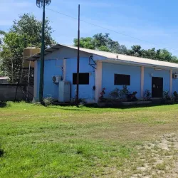 Local Coffee Plantations - Maliana