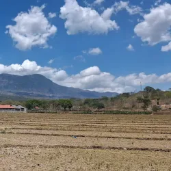 Maliana Cultural Festival - Maliana