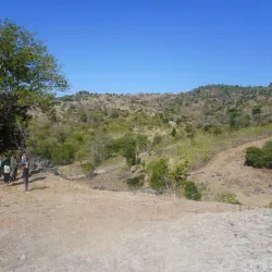 Tono River - Maliana