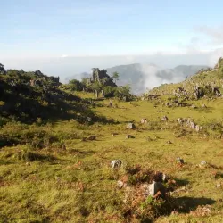 Baguia Village - Viqueque