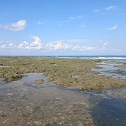 Fuiloro Beach - Viqueque