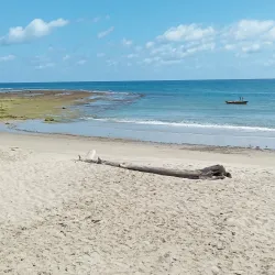 Fuiloro Beach - Viqueque