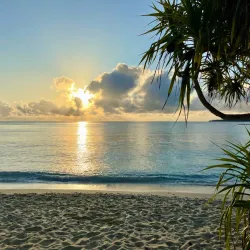 Jaco Island - Viqueque