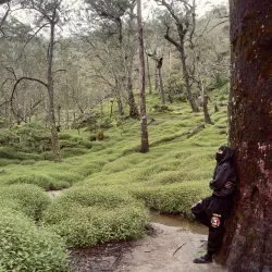 Mount Matebian - Viqueque