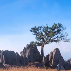 Mount Matebian - Viqueque