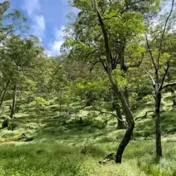 Mount Matebian - Viqueque