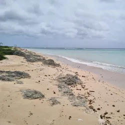 Tongatapu Island Beaches - Kolovai