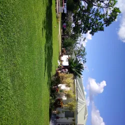 Traditional Tongan Feasts (Kava Ceremony) - Kolovai