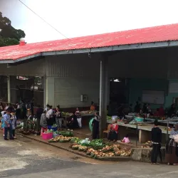 Tongan Market - Neiafu