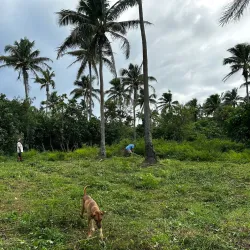 Nomuka Island Beaches - Nomuka