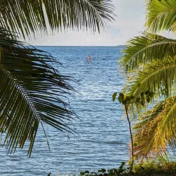 Ha'apai Museum - Pangai