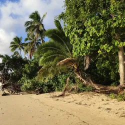 Ha'apai Museum - Pangai