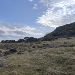 Hiking and Nature Walks - Pangai