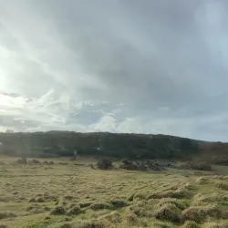 Hiking and Nature Walks - Pangai