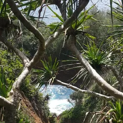 Hiking and Nature Walks - Pangai