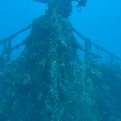 Snorkeling and Diving Spots - Pangai