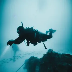 Snorkeling and Diving Spots - Pangai