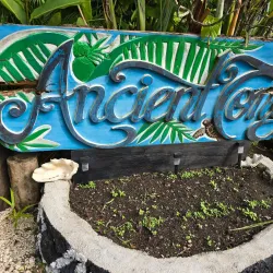 Tongan Cultural Performances - Pangai