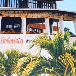 Whale Watching (Seasonal) - Pangai