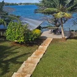 Whale Watching (Seasonal) - Pangai