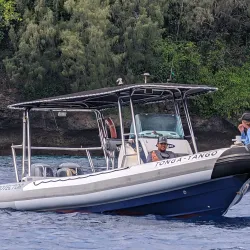 Blue Lagoon - Vava'u