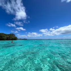 Blue Lagoon - Vava'u