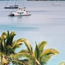 Humpback Whale Watching - Vava'u