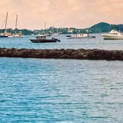 Humpback Whale Watching - Vava'u