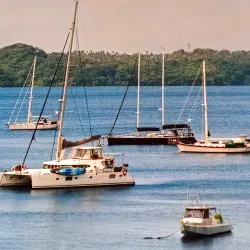 Humpback Whale Watching - Vava'u