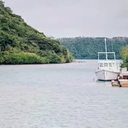 Humpback Whale Watching - Vava'u
