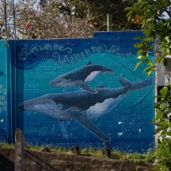 Neiafu Town - Vava'u