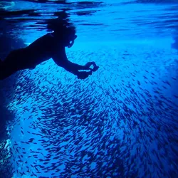 Swallows Cave - Vava'u