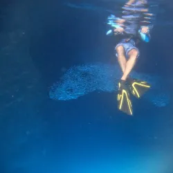 Swallows Cave - Vava'u