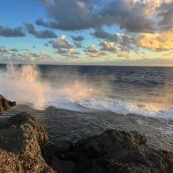 Tongan Blowholes - Vava'u