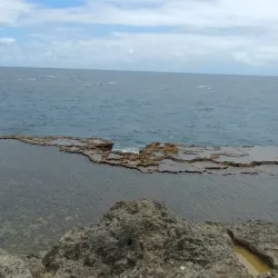 Tongan Blowholes - Vava'u