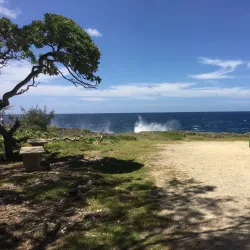 Tongan Blowholes - Vava'u