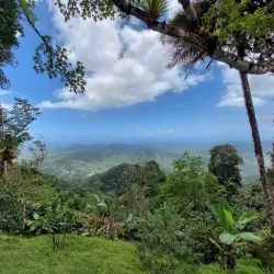 Northern Range Hiking Trails - Arima