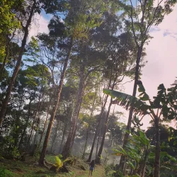 Northern Range Hiking Trails - Arima